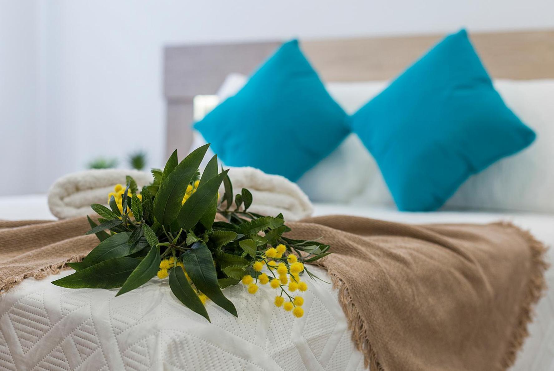 Playa Santa Maria Moderno 3 Rooms Cadiz Exterior photo